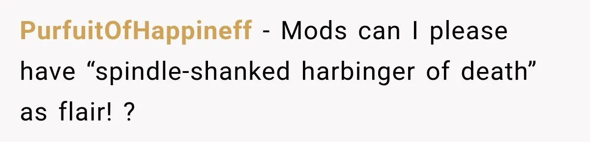 Woman Refuses to Sit Beside a Skinny Passenger, but Her Reasoning Gets More Absurd by the Sentence PurfuitOfHappineff − Mods can I please have “spindle-shanked harbinger of death” as flair! ?