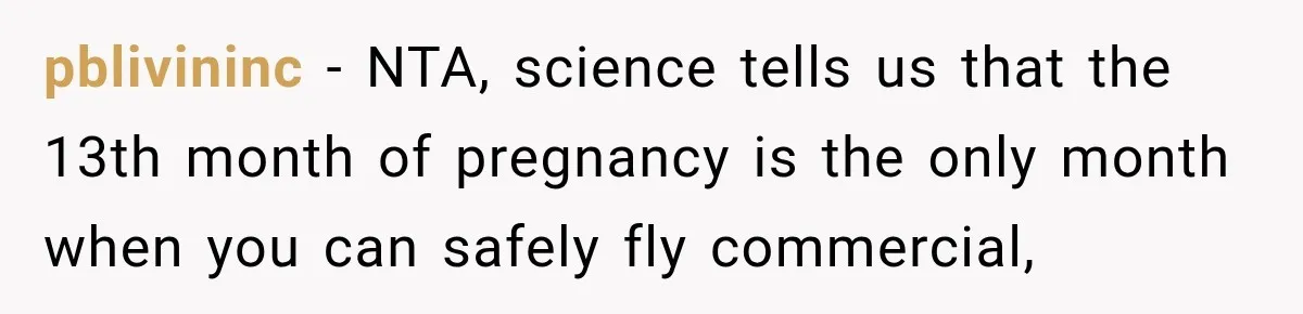 Woman Refuses to Sit Beside a Skinny Passenger, but Her Reasoning Gets More Absurd by the Sentence pblivininc − NTA, science tells us that the 13th month of pregnancy is the only month when you can safely fly commercial,