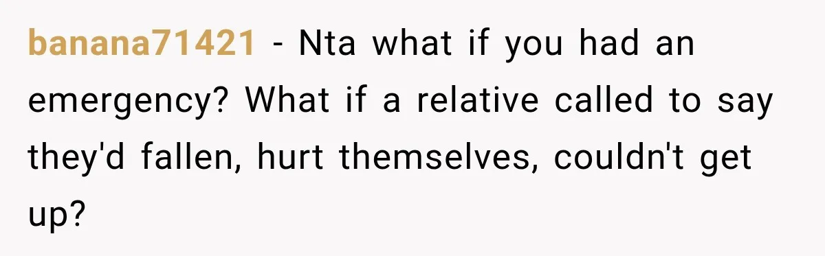 banana71421 − Nta what if you had an emergency? What if a relative called to say they'd fallen, hurt themselves, couldn't get up?