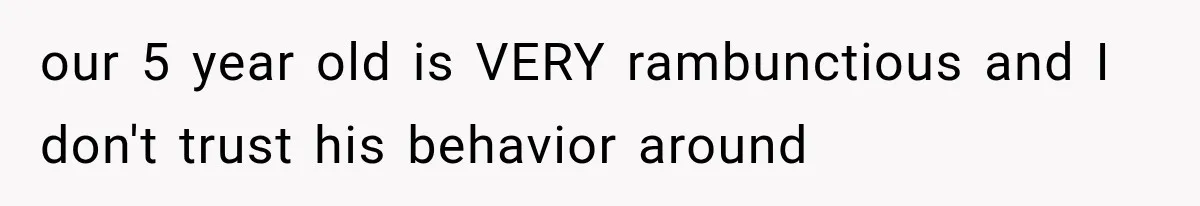 our 5 year old is VERY rambunctious and I don't trust his behavior around