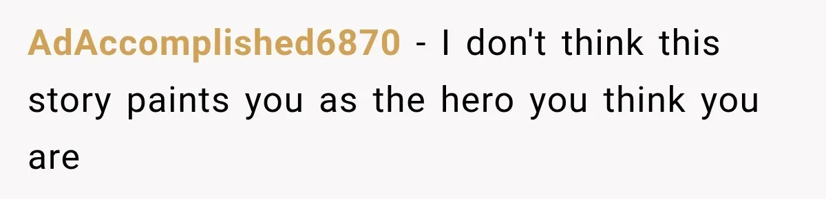 AdAccomplished6870 − I don't think this story paints you as the hero you think you are