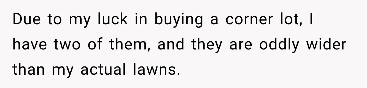 Woman Refuses to Pick Up After Her Dog, Then Her License Plate Makes the Excuse Much Harder Due to my luck in buying a corner lot, I have two of them, and they are oddly wider than my actual lawns.