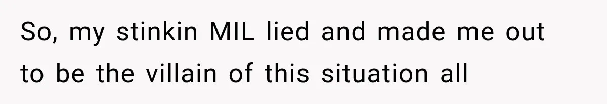 So, my stinkin MIL lied and made me out to be the villain of this situation all