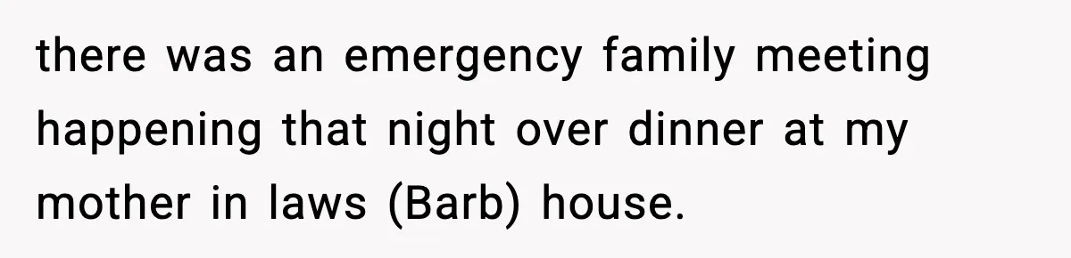 there was an emergency family meeting happening that night over dinner at my mother in laws (Barb) house.