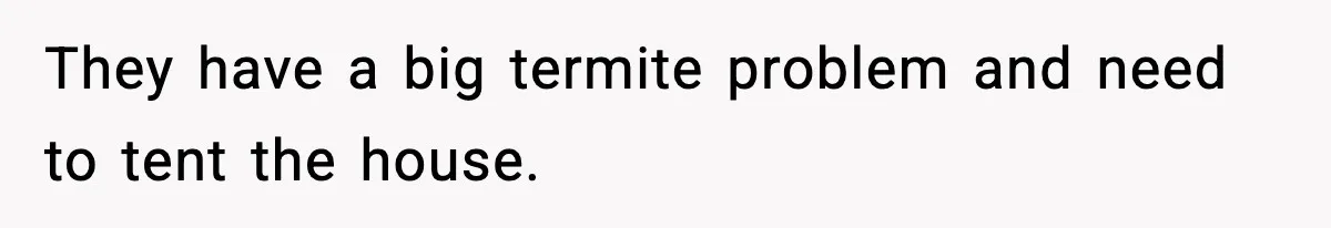Neighbor’s Termite Crew No-Showed Twice, So Homeowner Finally Revoked Access to the Yard They have a big termite problem and need to tent the house.