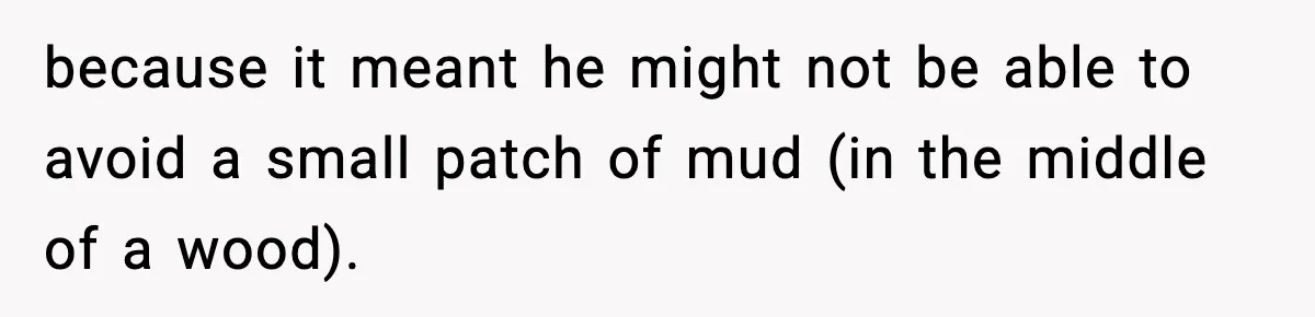Woman Demands Ambulance Move While Injured Delivery Driver Is Being Loaded, Then Gets a Very Awkward Delivery Months Later because it meant he might not be able to avoid a small patch of mud (in the middle of a wood).