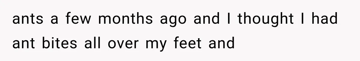 ants a few months ago and I thought I had ant bites all over my feet and
