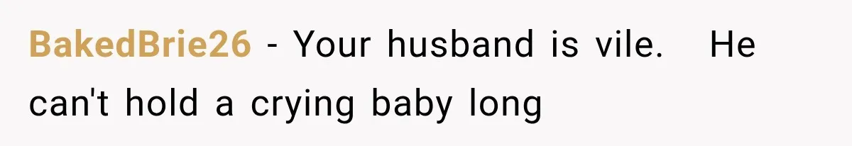 BakedBrie26 − Your husband is vile.   He can't hold a crying baby long