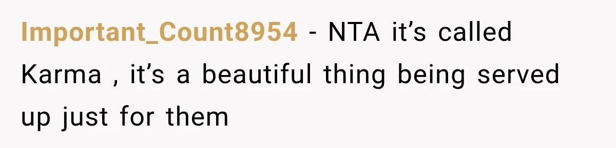 Important_Count8954 − NTA it’s called Karma , it’s a beautiful thing being served up just for them