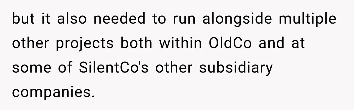 Contractor Finishes Three-Year Term, Says Nothing, and Waits to See When Management Notices but it also needed to run alongside multiple other projects both within OldCo and at some of SilentCo's other subsidiary companies.