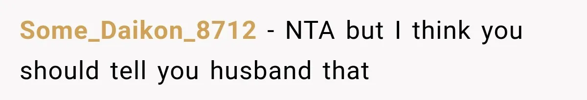 Some_Daikon_8712 − NTA but I think you should tell you husband that