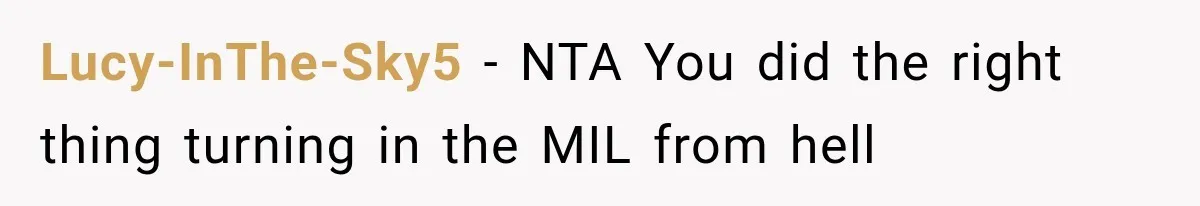 Lucy-InThe-Sky5 − NTA You did the right thing turning in the MIL from hell