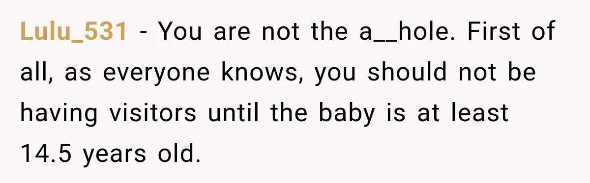 Lulu_531 − You are not the a__hole. First of all, as everyone knows, you should not be having visitors until the baby is at least 14.5 years old.