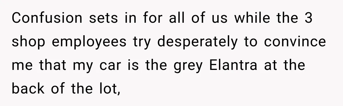 Confusion sets in for all of us while the 3 shop employees try desperately to convince me that my car is the grey Elantra at the back of the lot,