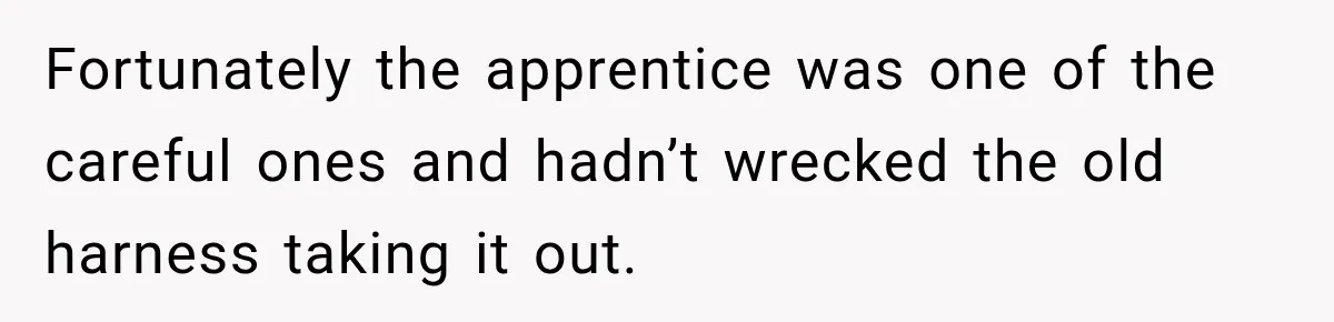 Fortunately the apprentice was one of the careful ones and hadn’t wrecked the old harness taking it out.