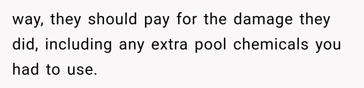 way, they should pay for the damage they did, including any extra pool chemicals you had to use.
