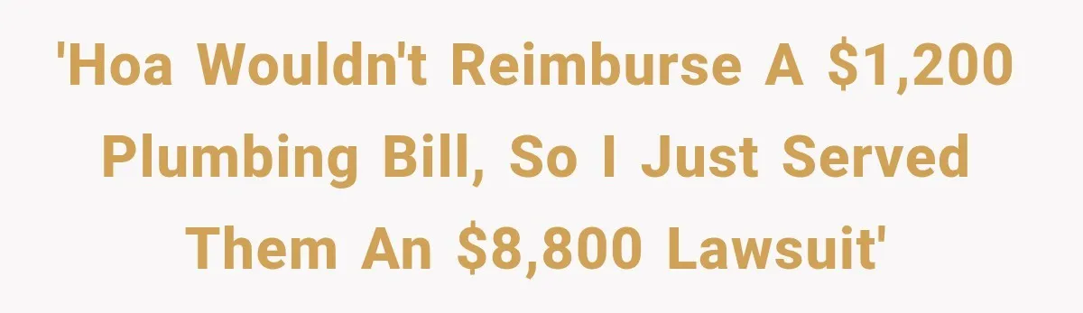 'HOA wouldn't reimburse a $1,200 plumbing bill, so I just served them an $8,800 lawsuit'
