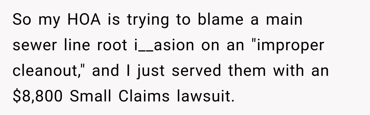 So my HOA is trying to blame a main sewer line root i__asion on an "improper cleanout," and I just served them with an $8,800 Small Claims lawsuit.