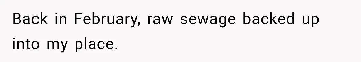 Back in February, raw sewage backed up into my place.