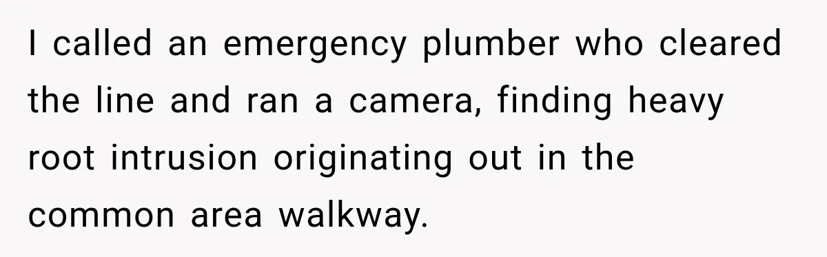 I called an emergency plumber who cleared the line and ran a camera, finding heavy root intrusion originating out in the common area walkway.