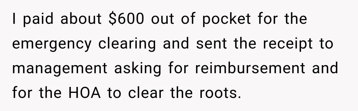 I paid about $600 out of pocket for the emergency clearing and sent the receipt to management asking for reimbursement and for the HOA to clear the roots.