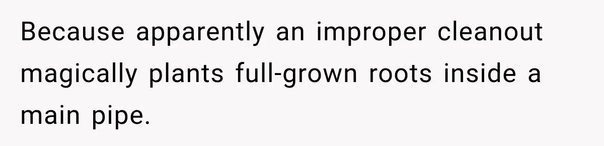 Because apparently an improper cleanout magically plants full-grown roots inside a main pipe.