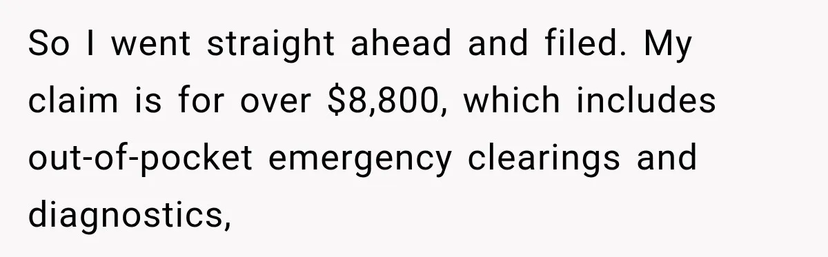 So I went straight ahead and filed. My claim is for over $8,800, which includes out-of-pocket emergency clearings and diagnostics,