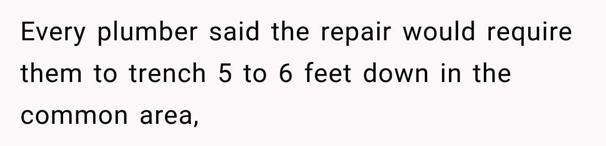 Every plumber said the repair would require them to trench 5 to 6 feet down in the common area,
