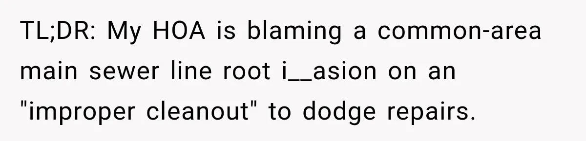 TL;DR: My HOA is blaming a common-area main sewer line root i__asion on an "improper cleanout" to dodge repairs.