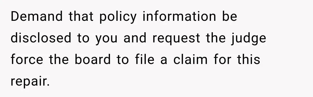 Demand that policy information be disclosed to you and request the judge force the board to file a claim for this repair.