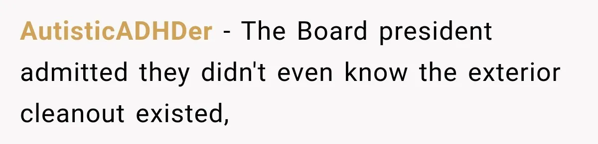 AutisticADHDer − The Board president admitted they didn't even know the exterior cleanout existed,