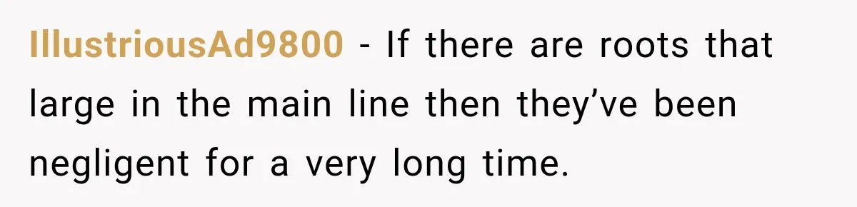 IllustriousAd9800 − If there are roots that large in the main line then they’ve been negligent for a very long time.