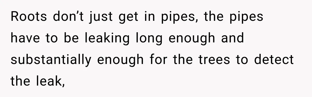 Roots don’t just get in pipes, the pipes have to be leaking long enough and substantially enough for the trees to detect the leak,