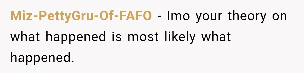 Miz-PettyGru-Of-FAFO − Imo your theory on what happened is most likely what happened.