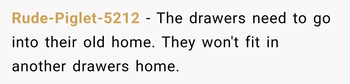 Rude-Piglet-5212 − The drawers need to go into their old home. They won't fit in another drawers home.