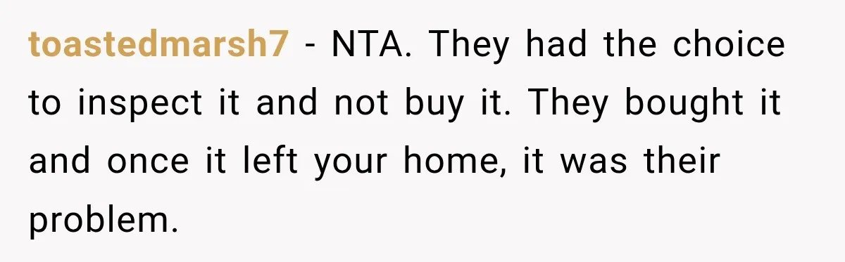toastedmarsh7 − NTA. They had the choice to inspect it and not buy it. They bought it and once it left your home, it was their problem.