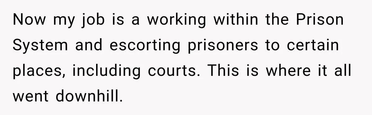 Now my job is a working within the Prison System and escorting prisoners to certain places, including courts. This is where it all went downhill.