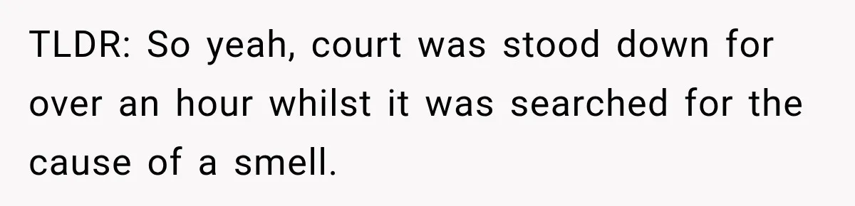 TLDR: So yeah, court was stood down for over an hour whilst it was searched for the cause of a smell.
