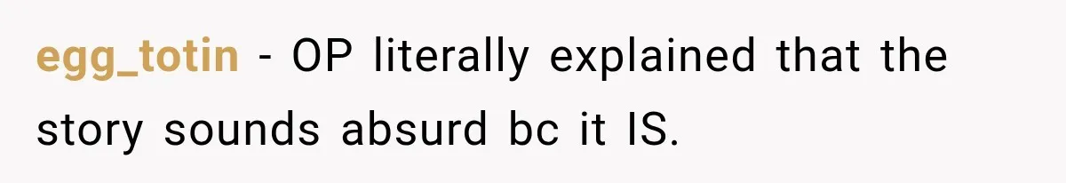 egg_totin − OP literally explained that the story sounds absurd bc it IS.