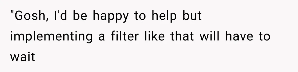 "Gosh, I'd be happy to help but implementing a filter like that will have to wait