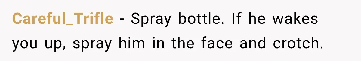 Careful_Trifle − Spray bottle. If he wakes you up, spray him in the face and crotch.