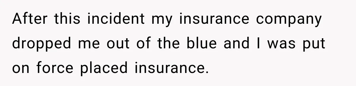 After this incident my insurance company dropped me out of the blue and I was put on force placed insurance.