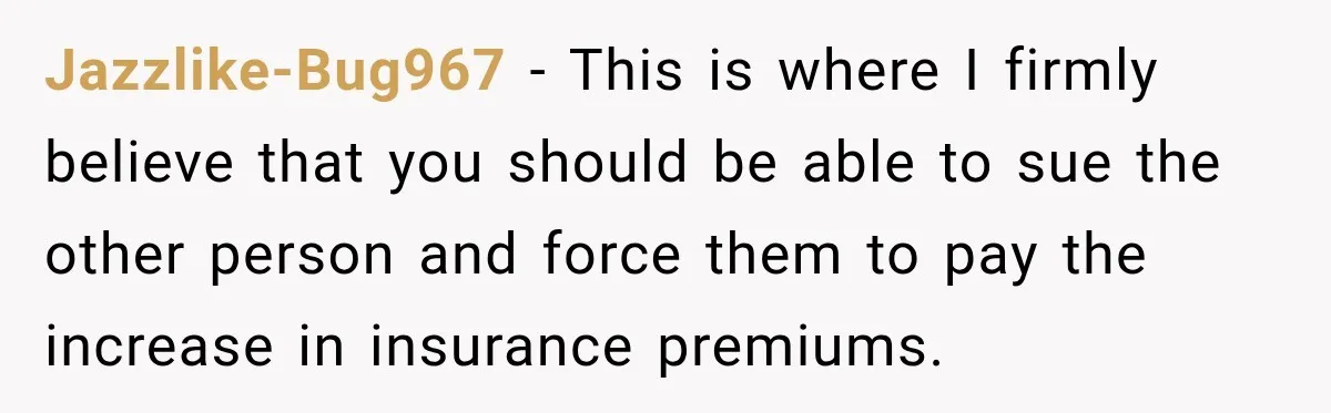Jazzlike-Bug967 − This is where I firmly believe that you should be able to sue the other person and force them to pay the increase in insurance premiums.