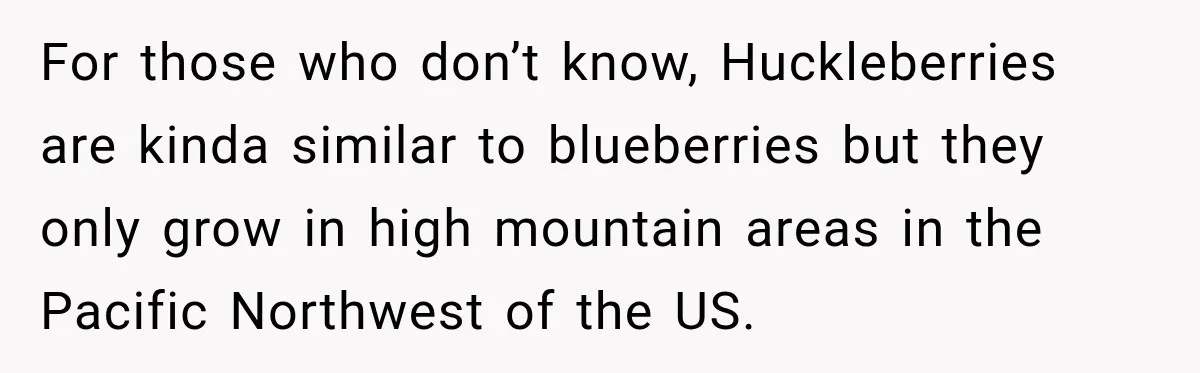For those who don’t know, Huckleberries are kinda similar to blueberries but they only grow in high mountain areas in the Pacific Northwest of the US.