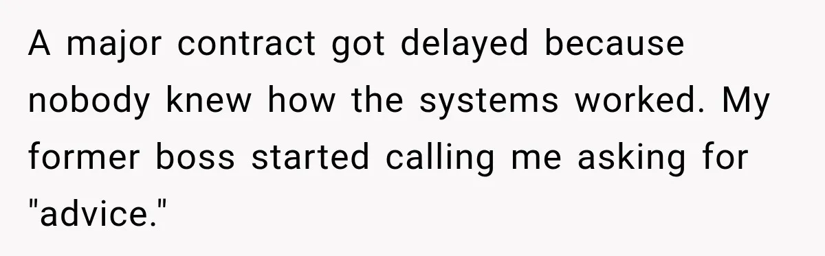 A major contract got delayed because nobody knew how the systems worked. My former boss started calling me asking for "advice."