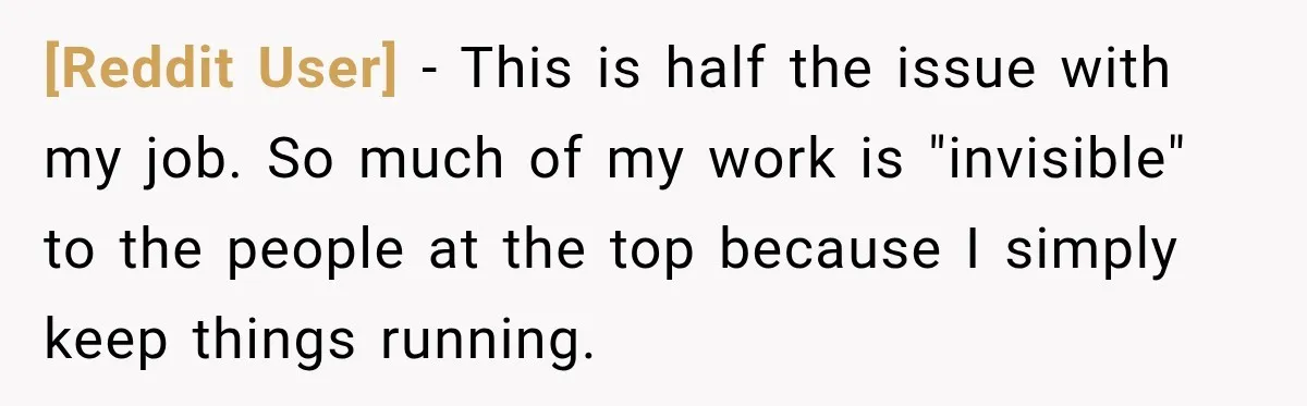 [Reddit User] − This is half the issue with my job. So much of my work is "invisible" to the people at the top because I simply keep things running.