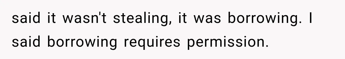 said it wasn't stealing, it was borrowing. I said borrowing requires permission.