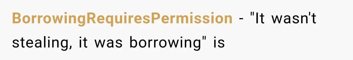 BorrowingRequiresPermission − "It wasn't stealing, it was borrowing" is