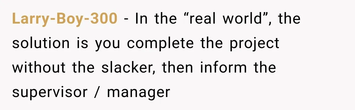 Larry-Boy-300 − In the “real world”, the solution is you complete the project without the slacker, then inform the supervisor / manager