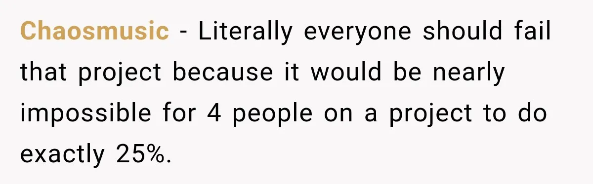 Chaosmusic − Literally everyone should fail that project because it would be nearly impossible for 4 people on a project to do exactly 25%.